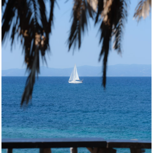 Bộ 13 Mô Phỏng Màu Phim Fujifilm Dành Cho Lightroom – Fujify Essential Pack (Sony) (XMP)