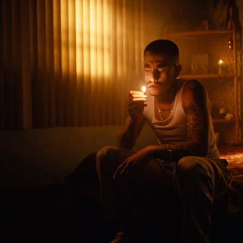 Serr – FilmVision Pro V1.1 Bộ Mô Phỏng Màu Phim Điện Ảnh Cao Cấp Cho Davinci Resolve / Premiere / Final Cut (Hướng Dẫn Việt Sub)