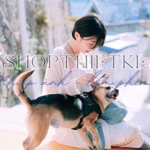 Bộ Preset Nhật Bản Trong Trẻo – 17 Tone Film J-Style (XMP/DNG/CUBE/COS)