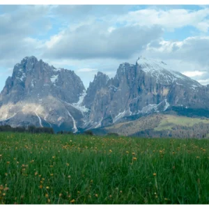 VGP CCD89 – Bộ Preset Tái Tạo Màu CCD Huyền Thoại (XMP/DNG) 12 shopthietke com ccd8 16.jpg