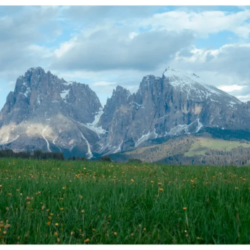 VGP CCD89 – Bộ Preset Tái Tạo Màu CCD Huyền Thoại (XMP/DNG)