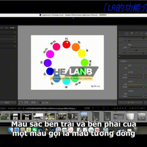 Khoá Học Ngắn Về Tiền Kỳ, Hậu Kỳ Và Hiểu Về Màu Sắc Khi Dùng Preset (Việt Sub)