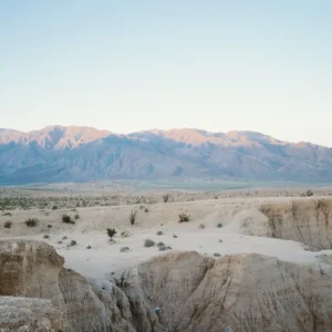 Preset Portra 400 Jake Tovar – Tái Tạo Màu Phim Ấm Áp, Tự Nhiên, Đẹp Mọi Ảnh (XMP/DNG) 13 shopthietke com vgpp400jt hero 2.jpg