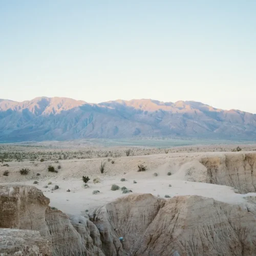 Preset Portra 400 Jake Tovar – Tái Tạo Màu Phim Ấm Áp, Tự Nhiên, Đẹp Mọi Ảnh (XMP/DNG)