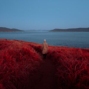 LUT #7 – Bộ LUT & Preset Màu Điện Ảnh Nghệ Thuật Cho Ảnh & Video Chuyên Nghiệp (XMP/CUBE) 20 shopthietke com 1665556610 8697be