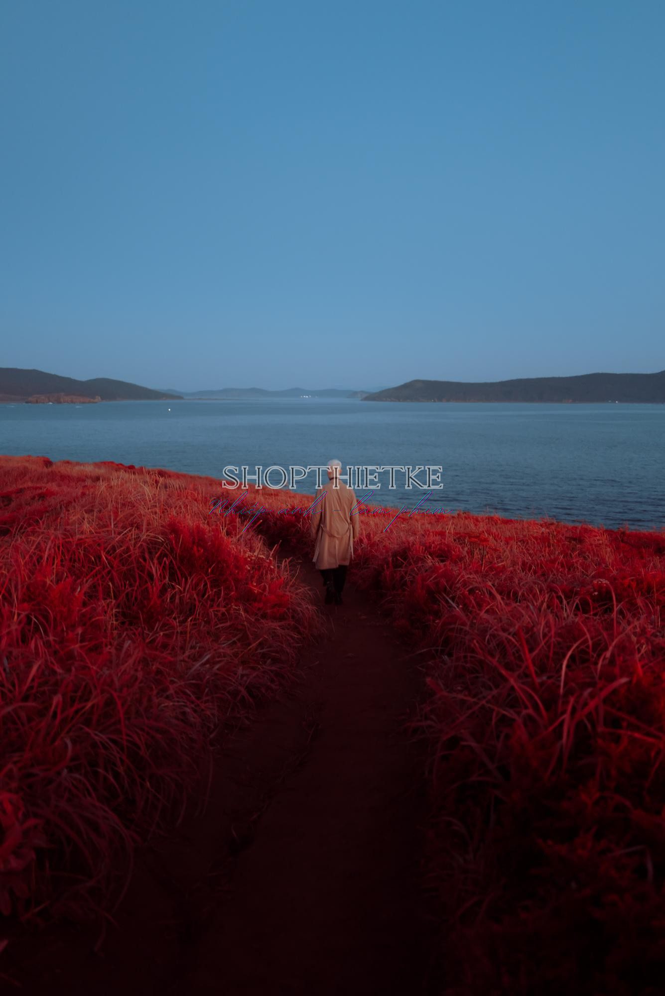 LUT #7 – Bộ LUT & Preset Màu Điện Ảnh Nghệ Thuật Cho Ảnh & Video Chuyên Nghiệp (XMP/CUBE) 38 After image