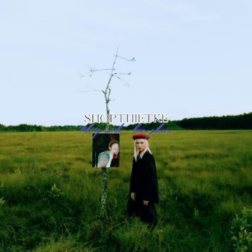 LUT #7 – Bộ LUT & Preset Màu Điện Ảnh Nghệ Thuật Cho Ảnh & Video Chuyên Nghiệp (XMP/CUBE)