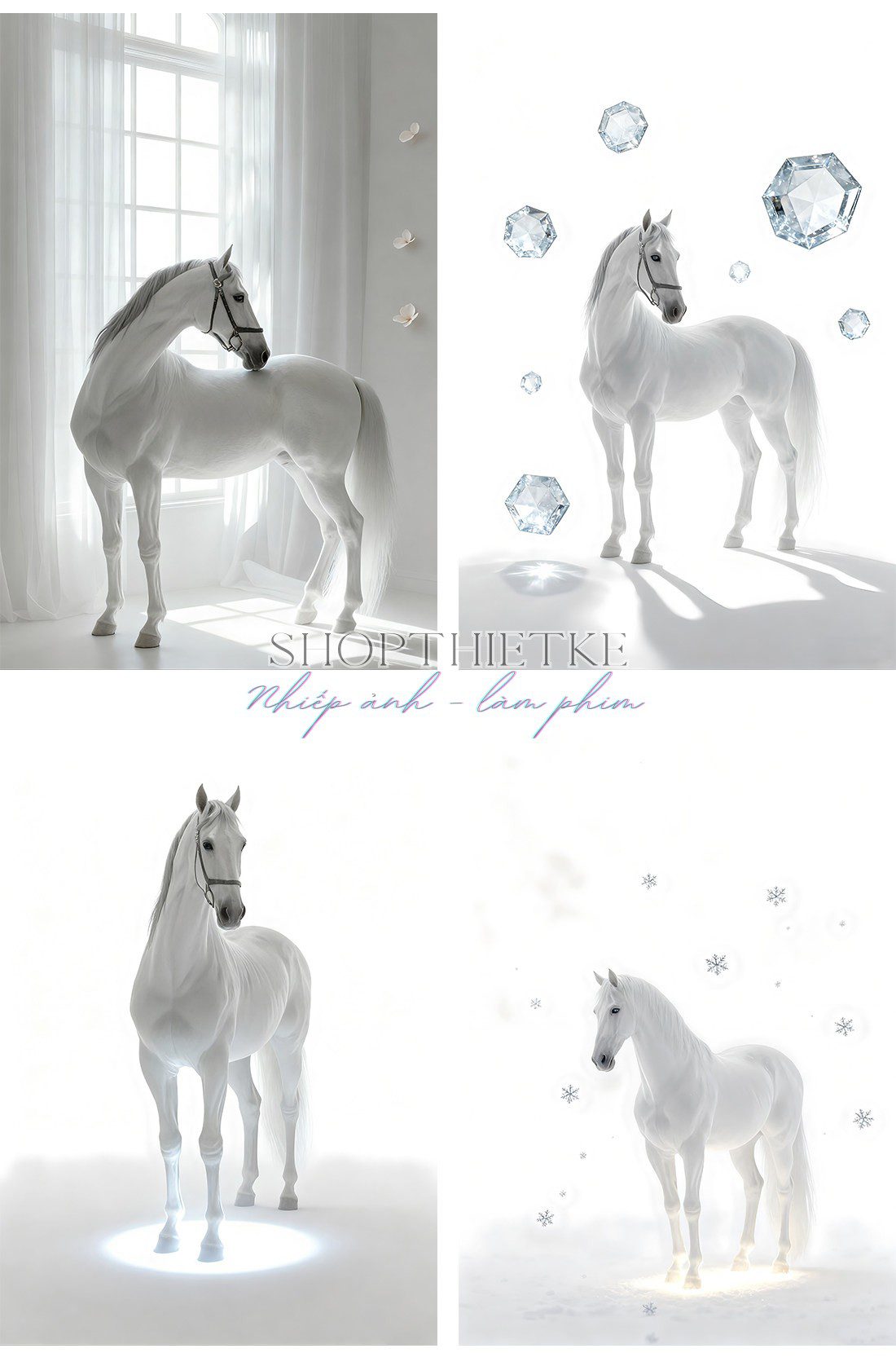 shopthietke com Shopthietke.com 106