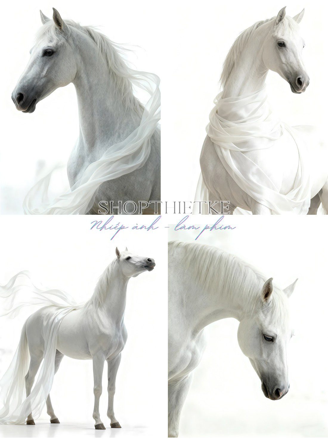 shopthietke com Shopthietke.com 109