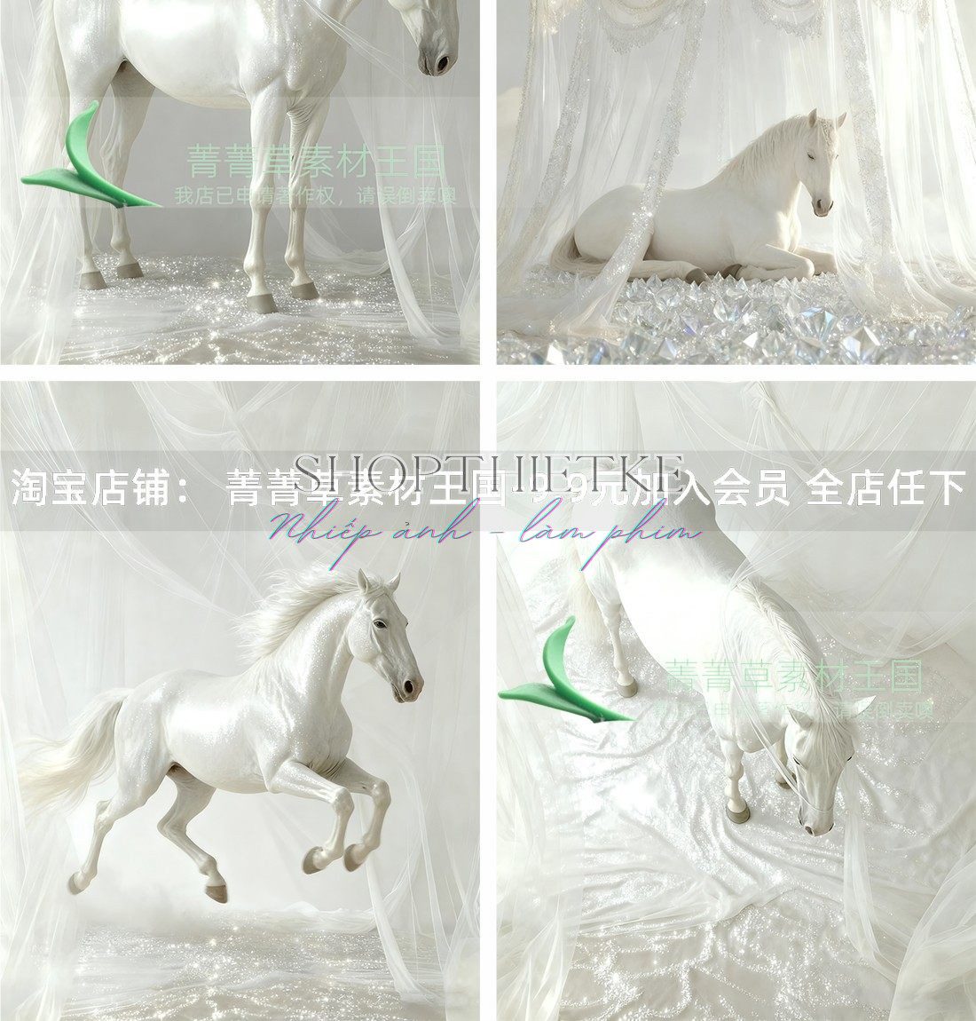 shopthietke com Shopthietke.com 120