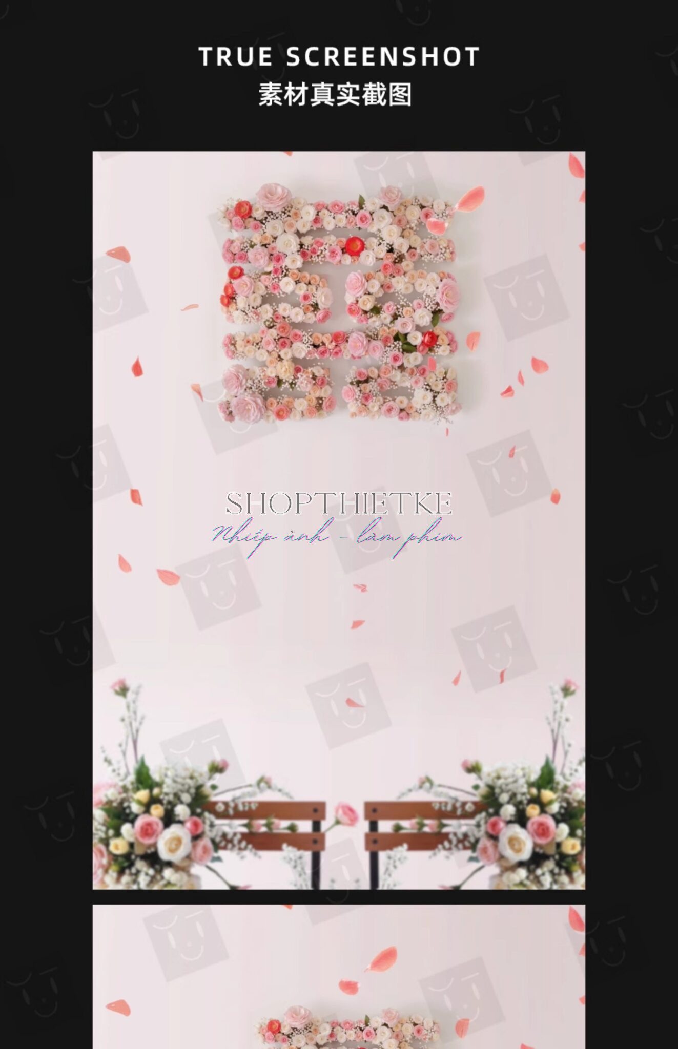 shopthietke com Shopthietke.com 126 scaled