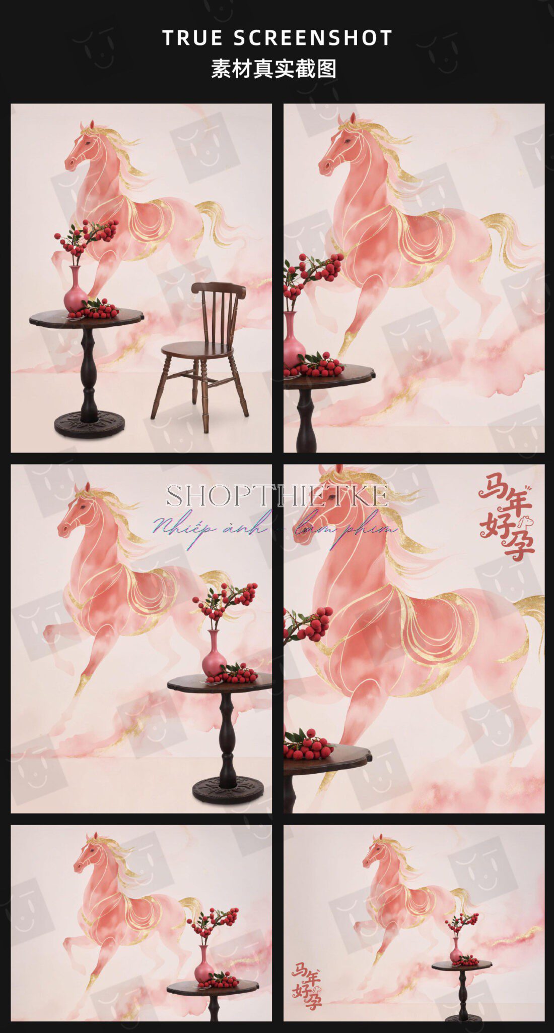 shopthietke com Shopthietke.com 134 scaled