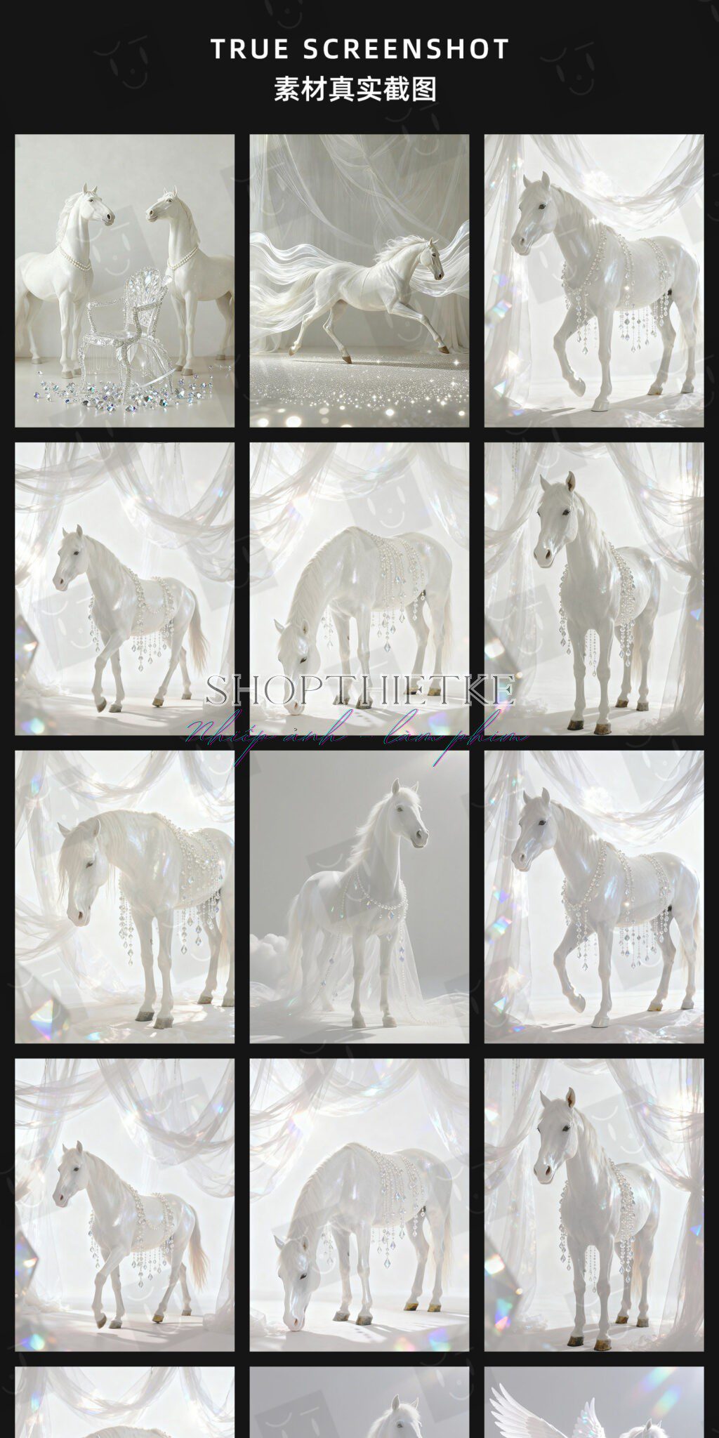 shopthietke com Shopthietke.com 136 scaled