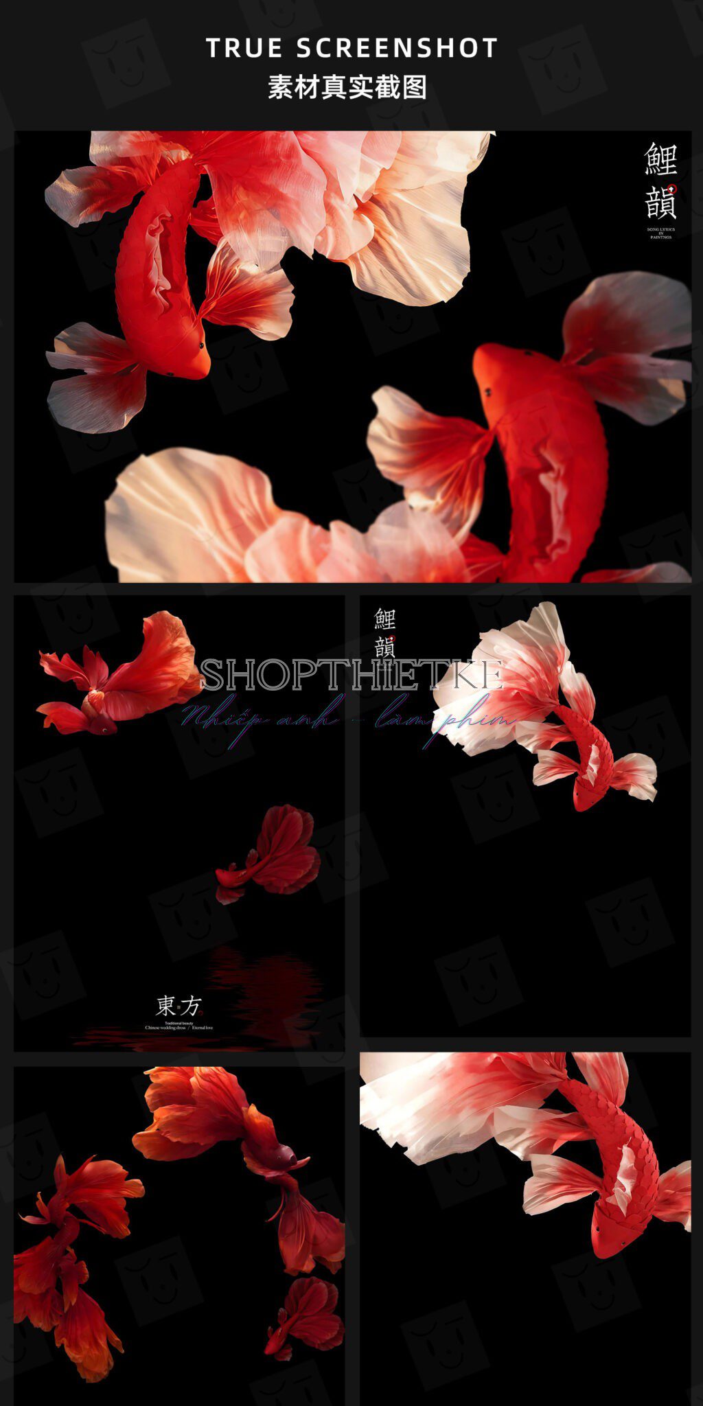 shopthietke com Shopthietke.com 145 scaled