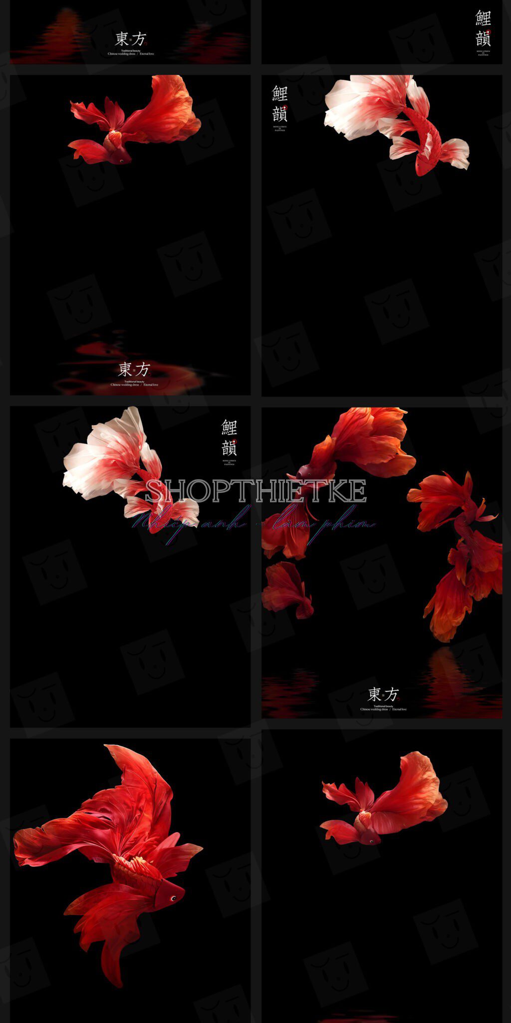 shopthietke com Shopthietke.com 146 scaled