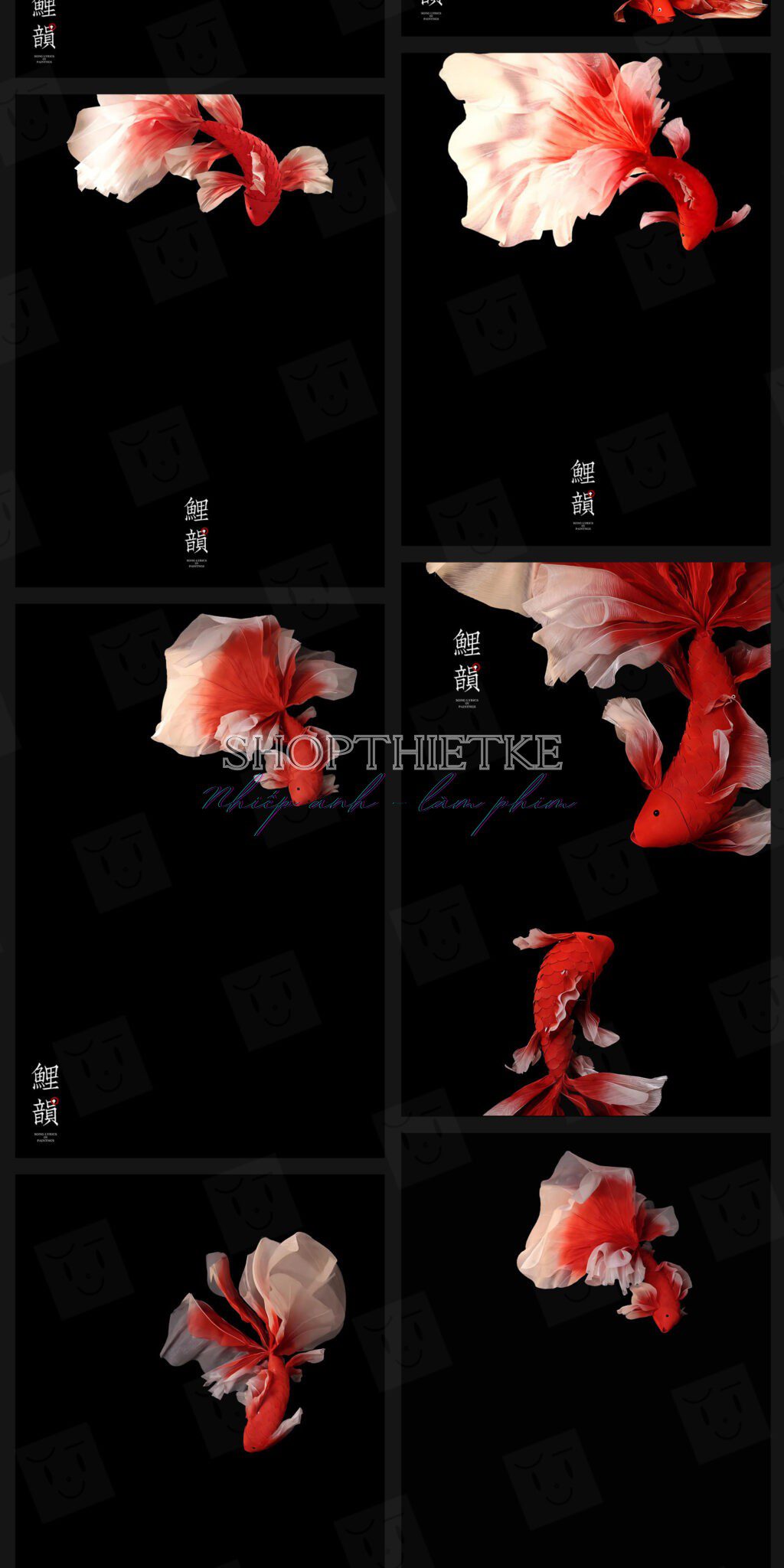 shopthietke com Shopthietke.com 148 scaled