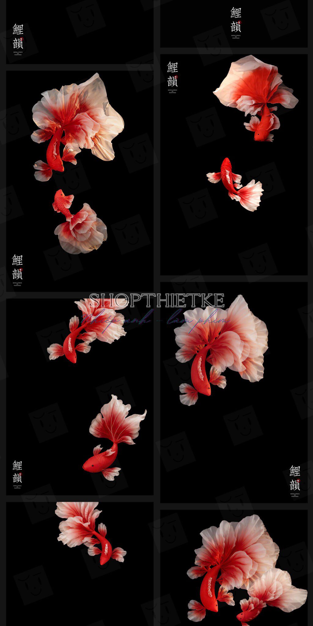 shopthietke com Shopthietke.com 149 scaled