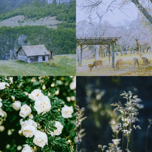 Bộ LUT & Preset HNCS – Đông Kiện Edition | 38+ Tone Màu Đỉnh Cao – Độc Quyền Phân Phối | Full XMP – DNG – CUBE