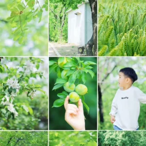 Bộ LUT Mùa Hè Cao Cấp – 8 Tone Màu Cực Đẹp Từ NAG Đông Kiện (CUBE) 11 shopthietke com Shopthietke.com 46