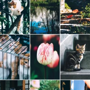 Bộ LUT Mùa Hè Cao Cấp – 8 Tone Màu Cực Đẹp Từ NAG Đông Kiện (CUBE) 12 shopthietke com Shopthietke.com 47