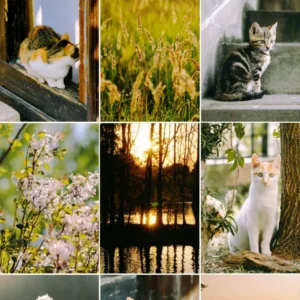 Bộ LUT Mùa Hè Cao Cấp – 8 Tone Màu Cực Đẹp Từ NAG Đông Kiện (CUBE) 13 shopthietke com Shopthietke.com 48