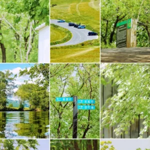 Bộ LUT Mùa Hè Cao Cấp – 8 Tone Màu Cực Đẹp Từ NAG Đông Kiện (CUBE) 14 shopthietke com Shopthietke.com 49