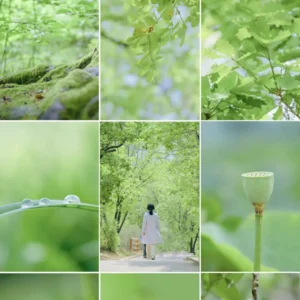 Bộ LUT Mùa Hè Cao Cấp – 8 Tone Màu Cực Đẹp Từ NAG Đông Kiện (CUBE) 16 shopthietke com Shopthietke.com 51