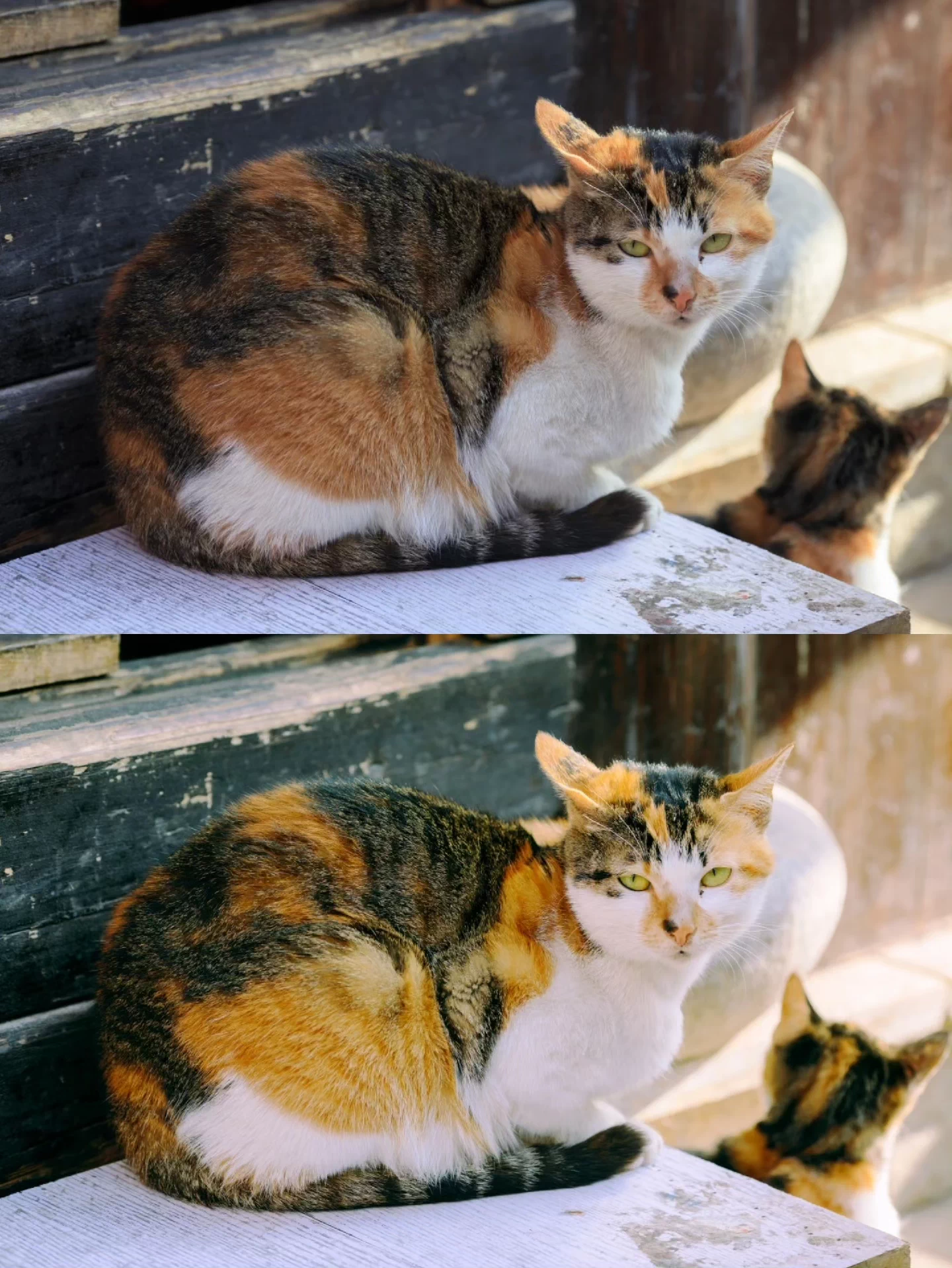 Bộ LUT Mùa Hè Cao Cấp – 8 Tone Màu Cực Đẹp Từ NAG Đông Kiện (CUBE) 30 shopthietke com Shopthietke.com 56