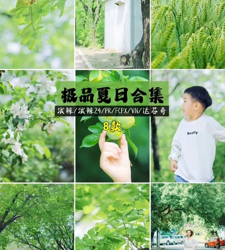 Bộ LUT Mùa Hè Cao Cấp – 8 Tone Màu Cực Đẹp  Từ NAG Đông Kiện (CUBE)