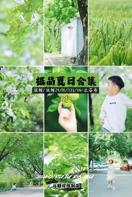 Bộ LUT Mùa Hè Cao Cấp – 8 Tone Màu Cực Đẹp | Đông Kiện (CUBE)