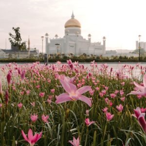 Bộ Preset Lightroom YK Cao Cấp – 15 Preset Màu & Trắng Đen Cho Mọi Điều Kiện Ánh Sáng (XMP)