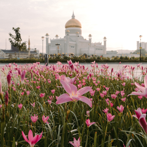 Bộ Preset Lightroom YK Cao Cấp – 15 Preset Màu & Trắng Đen Cho Mọi Điều Kiện Ánh Sáng (XMP)