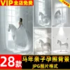 Set Background Ngựa Trắng 2026 – Dành Cho Studio Ảnh Mẹ Bầu & Em Bé (JPG)