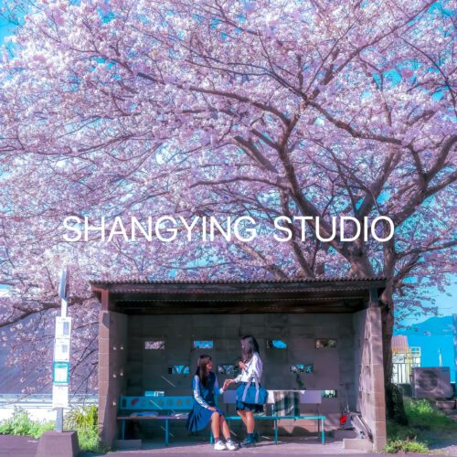 08 Preset Sakura Anime Cho Lightroom – Màu Xuân Nhẹ, Da Mịn, Rất Nịnh Ảnh (XMP/DNG/CUBE) 37 shopthietke com Shopthietke.com 77