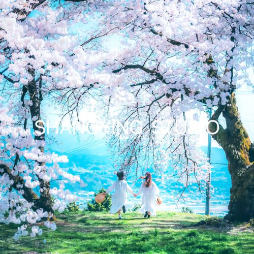 08 Preset Sakura Anime Cho Lightroom – Màu Xuân Nhẹ, Da Mịn, Rất Nịnh Ảnh (XMP/DNG/CUBE) 35 shopthietke com Shopthietke.com 79