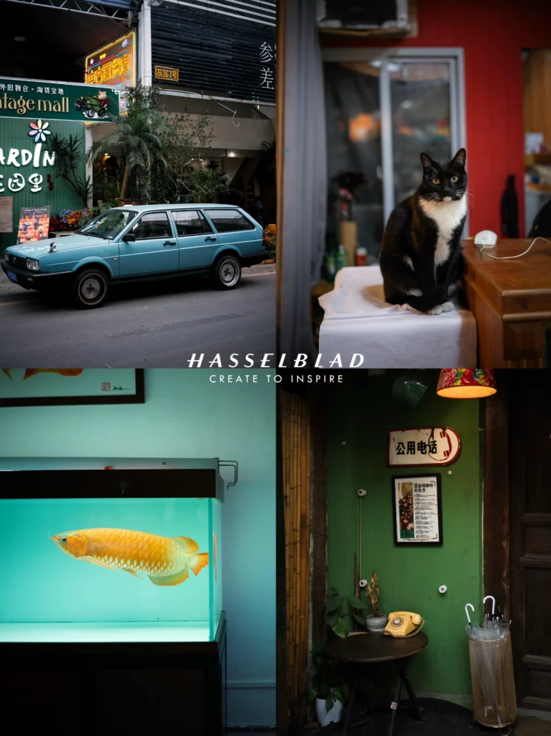 56 Preset Lightroom Hasselblad Blue × Kodak Gold – Tông Xanh Vàng Cao Cấp, Đậm Chất Điện Ảnh (XMP)