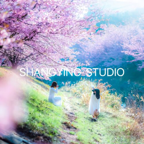 08 Preset Sakura Anime Cho Lightroom – Màu Xuân Nhẹ, Da Mịn, Rất Nịnh Ảnh (XMP/DNG/CUBE) 31 shopthietke com Shopthietke.com 83