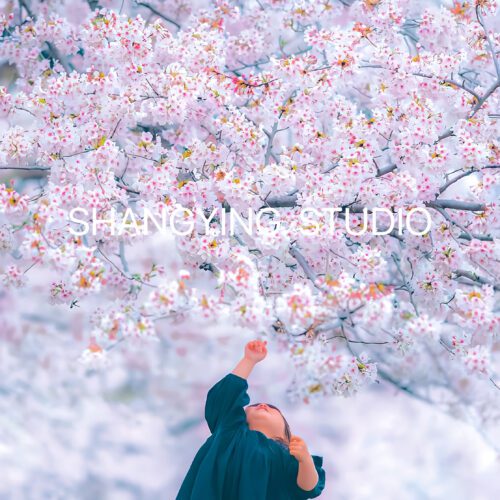 08 Preset Sakura Anime Cho Lightroom – Màu Xuân Nhẹ, Da Mịn, Rất Nịnh Ảnh (XMP/DNG/CUBE) 29 shopthietke com Shopthietke.com 85