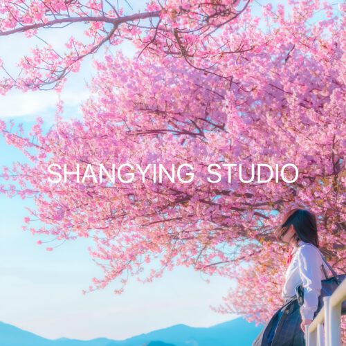 08 Preset Sakura Anime Cho Lightroom – Màu Xuân Nhẹ, Da Mịn, Rất Nịnh Ảnh (XMP/DNG/CUBE) 25 shopthietke com Shopthietke.com 89
