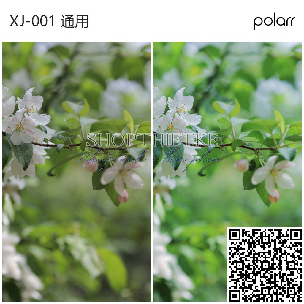 shopthietke com XJ 001 通用