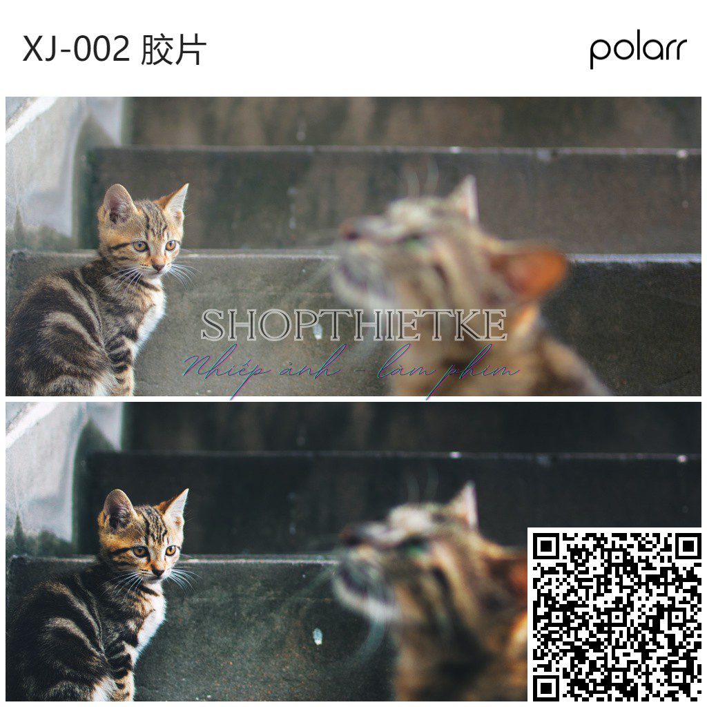 shopthietke com XJ 002 胶片