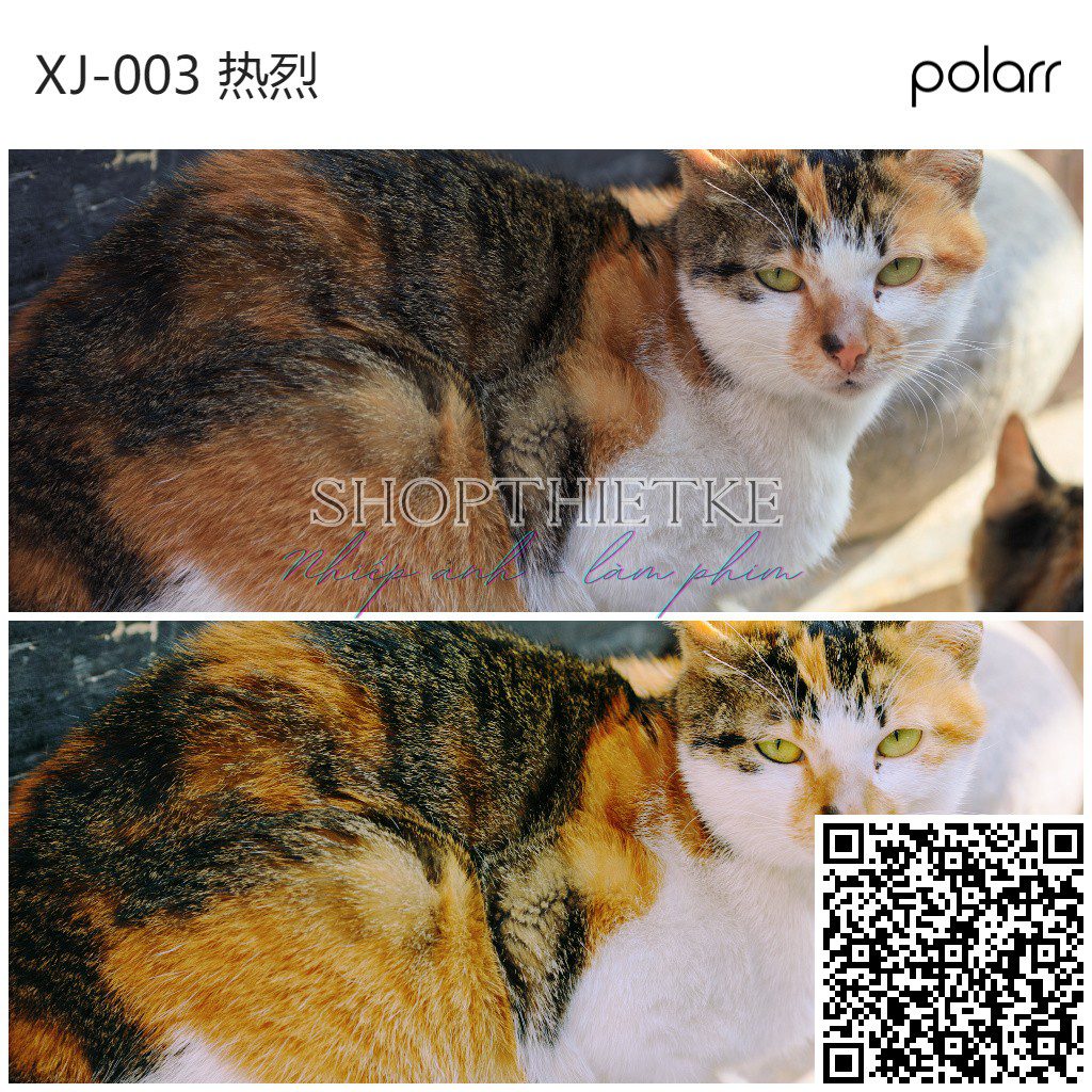 shopthietke com XJ 003 热烈