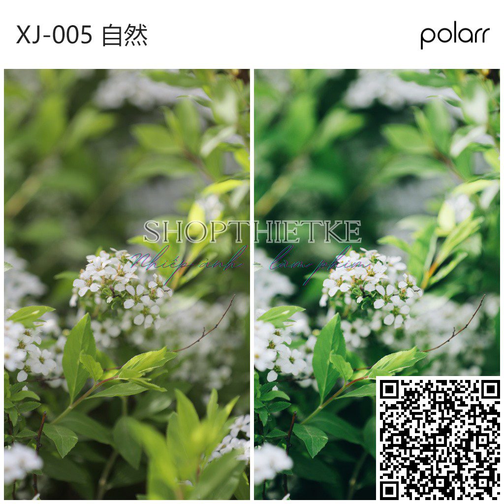 shopthietke com XJ 005 自然