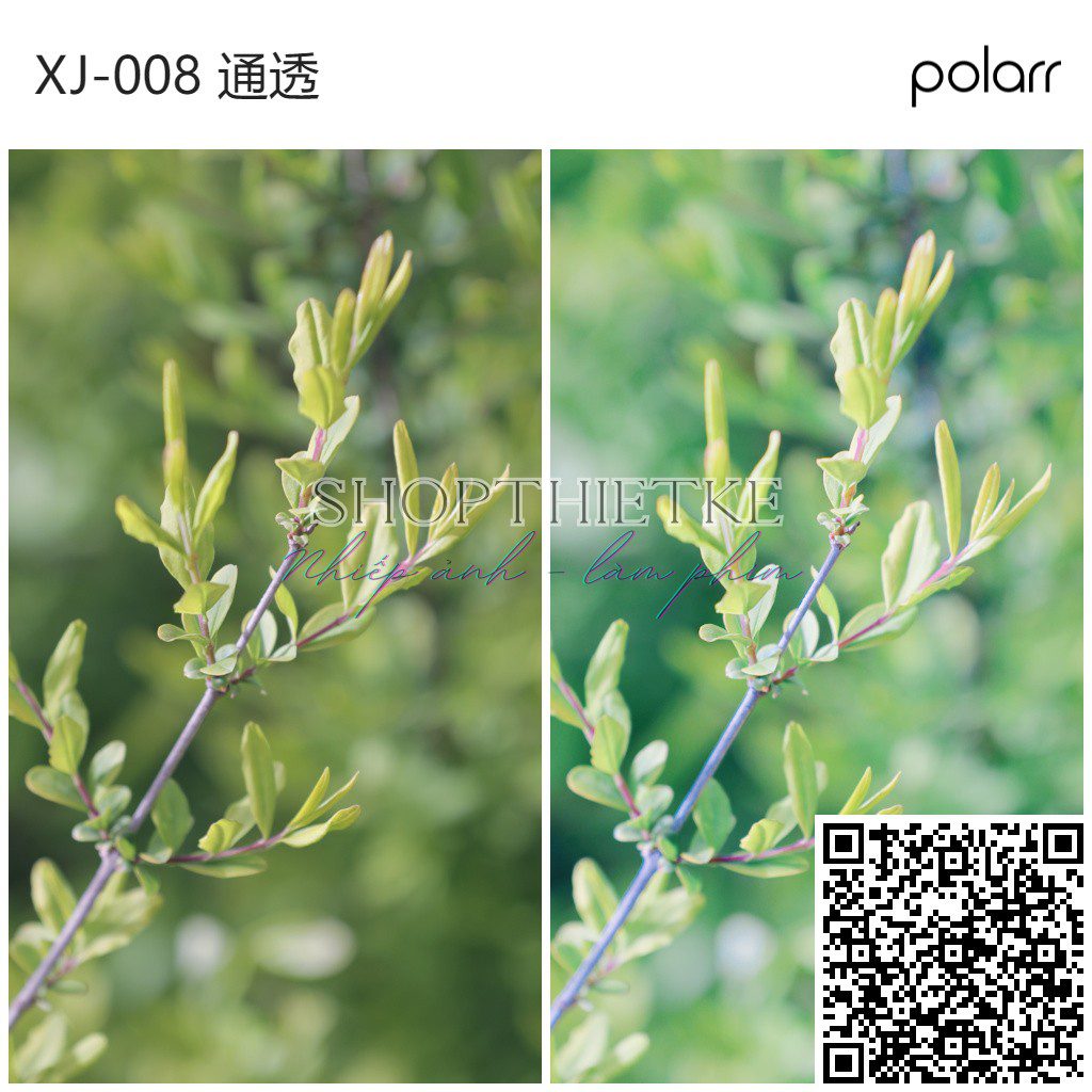 Bộ LUT Mùa Hè Cao Cấp – 8 Tone Màu Cực Đẹp Từ NAG Đông Kiện (CUBE) 37 shopthietke com XJ 008 通透