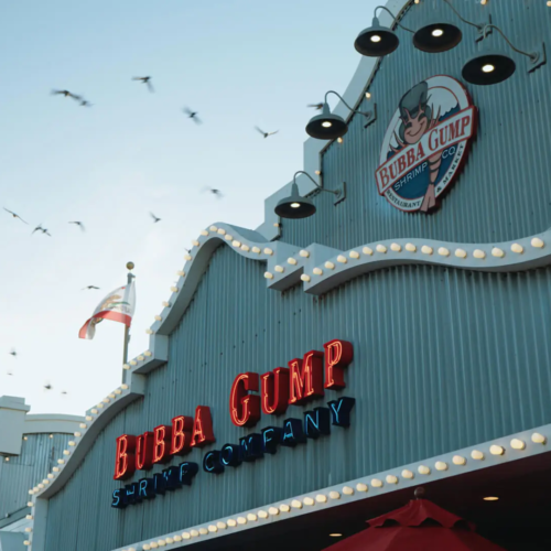 Lifesessions – Cinema Life LUTs | Bộ 6 LUT Điện Ảnh Cao Cấp Chuyển LOG Sang Màu Phim Chuẩn Cinematic (CUBE)