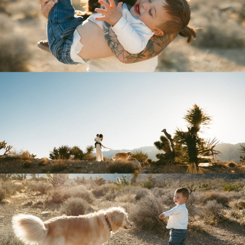 Linger Preset Pack – Bộ Preset Mang Cảm Hứng Film, Cảm Xúc & Điện Ảnh (XMP)