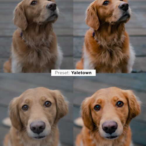 shopthietke com img 1766326952 3