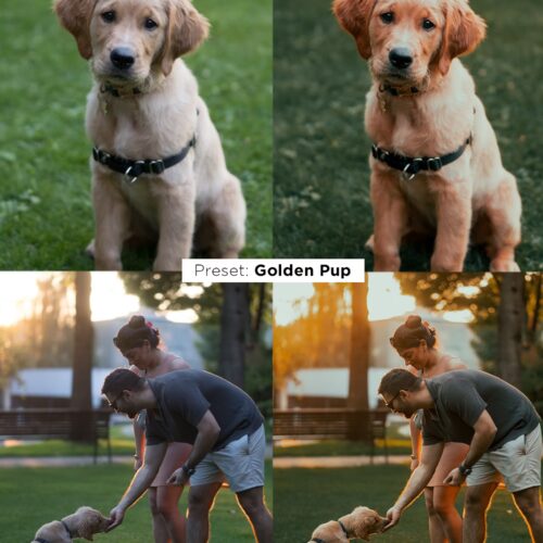 shopthietke com img 1766326957 12