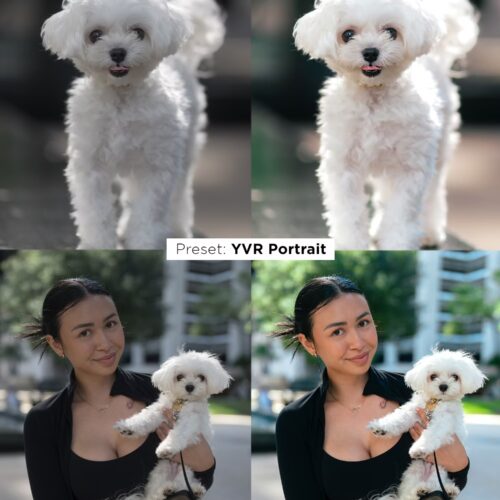 shopthietke com img 1766326957 13