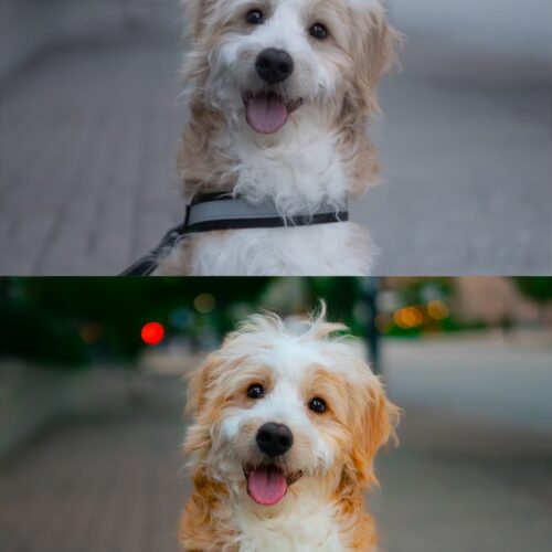 shopthietke com img 1766326957 9